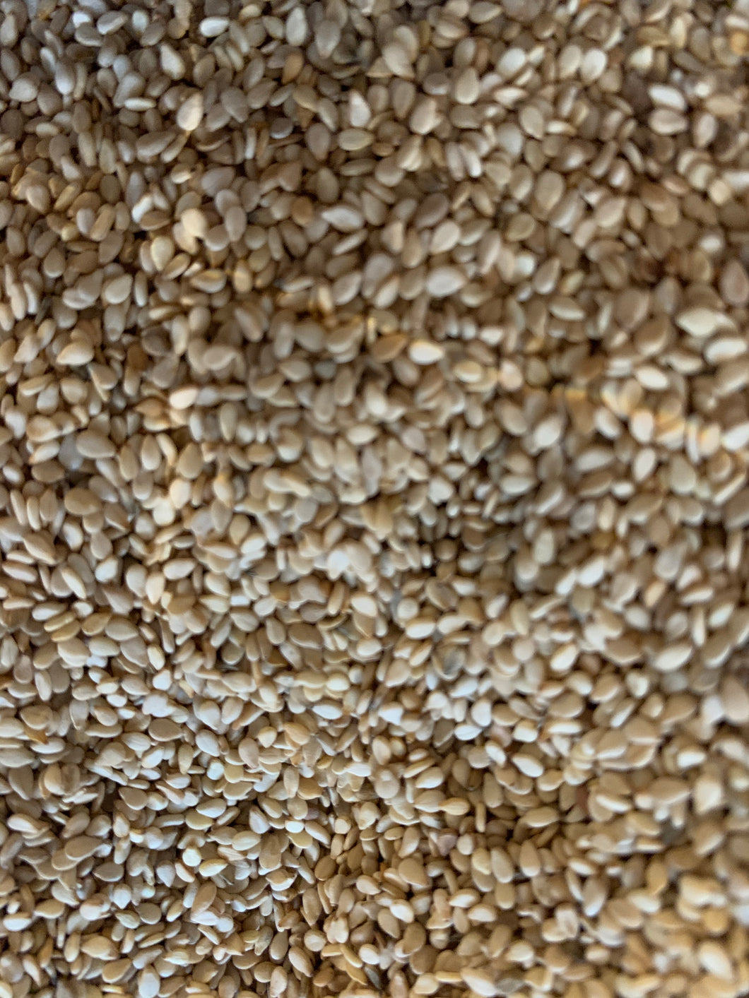 Sesame Seed Whole Brown