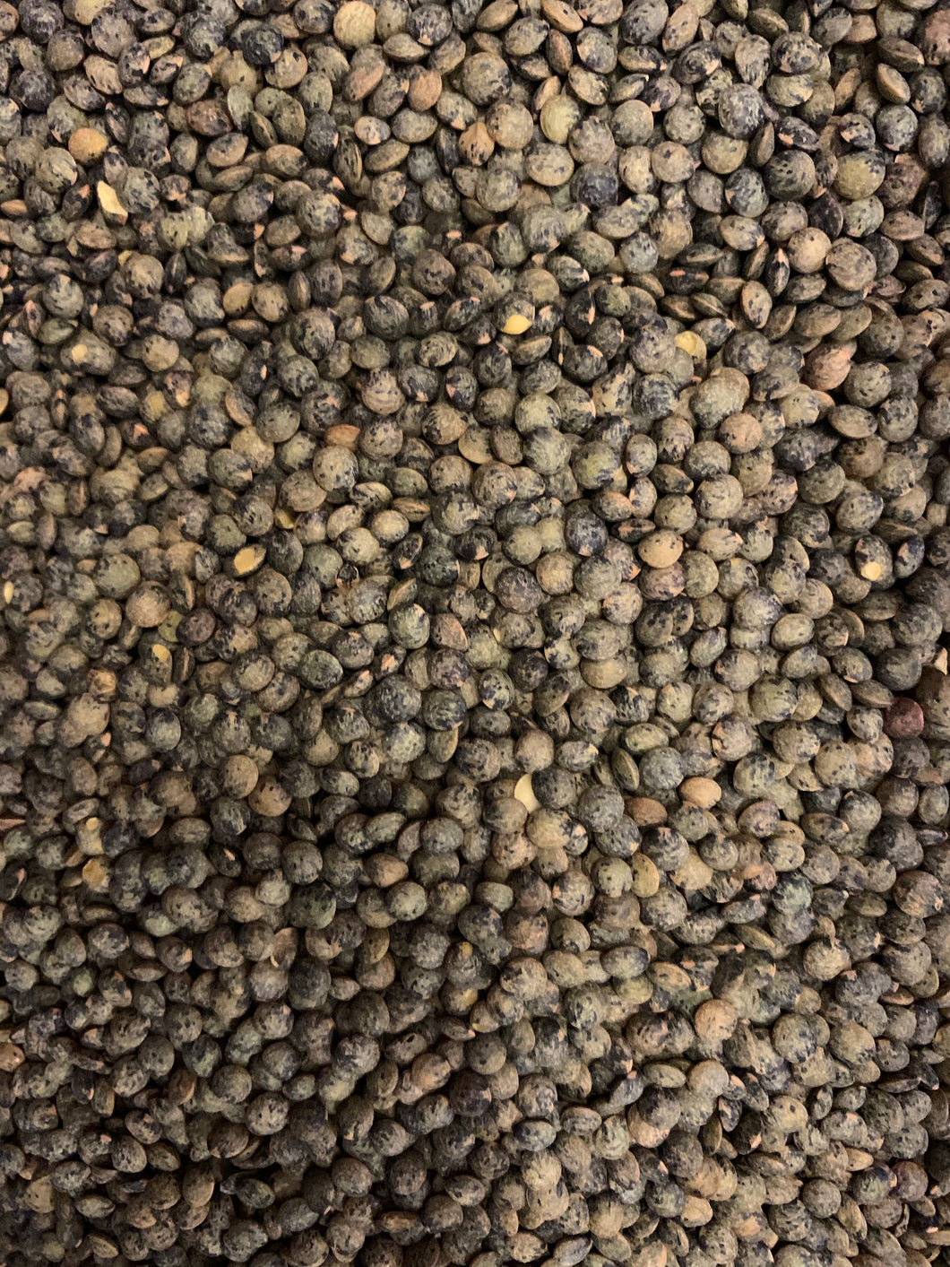 Lentils- French Type Puy 500g