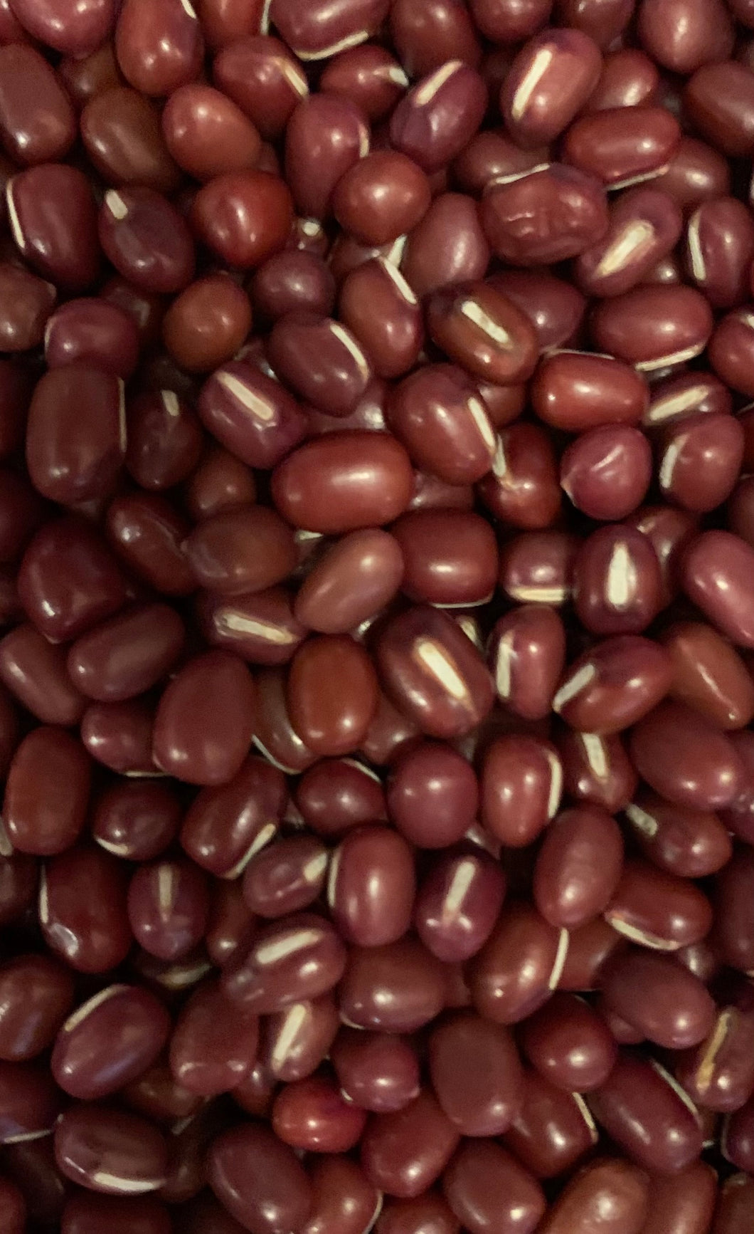 Aduki Beans 500g
