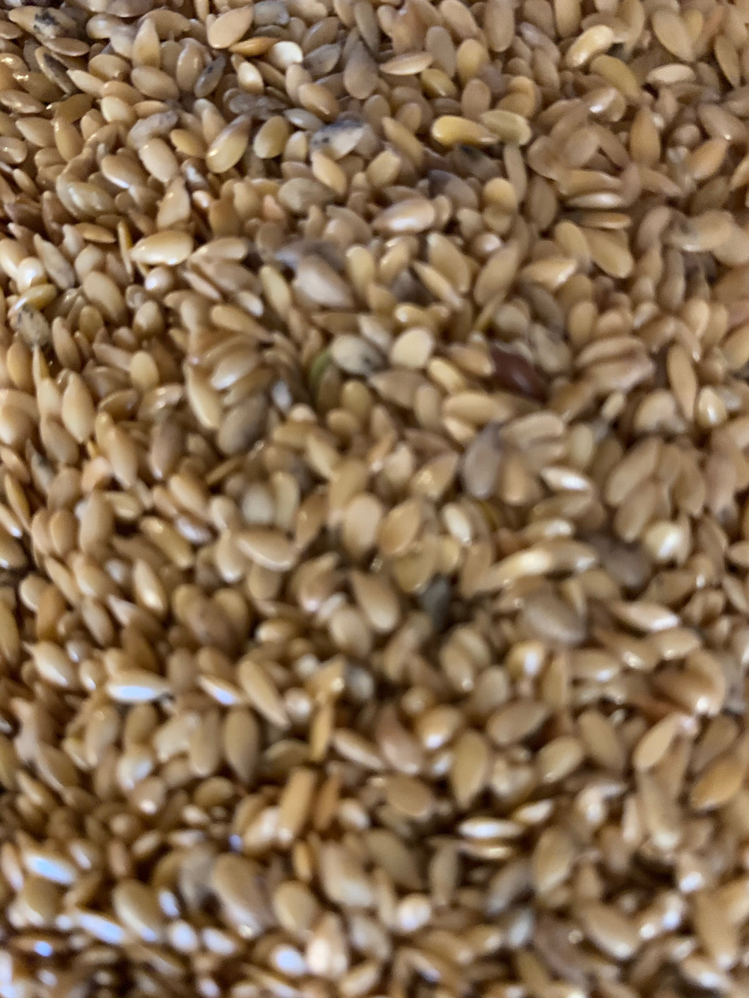 Linseed Golden