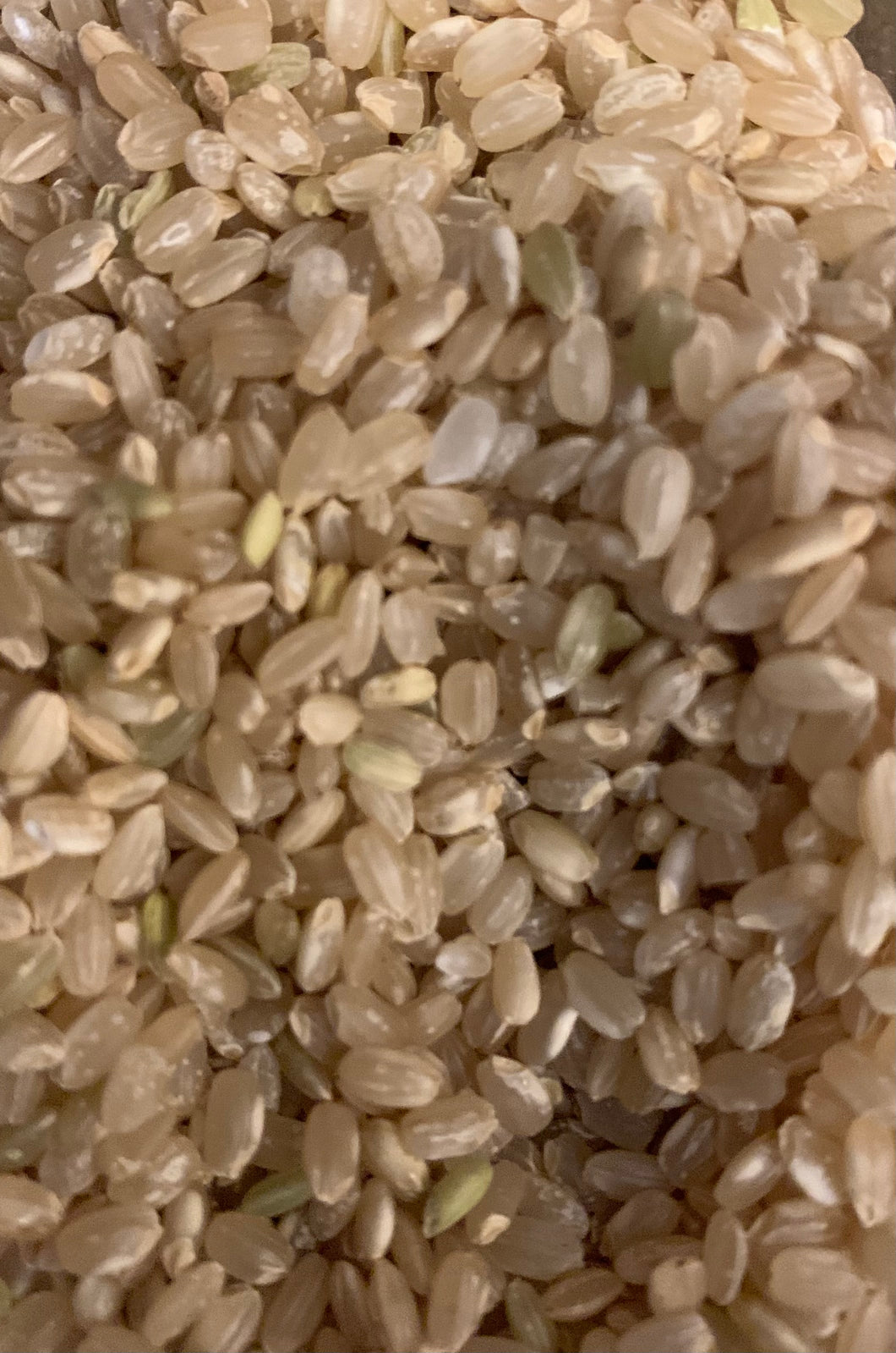 Brown Short Grain Rice 500g